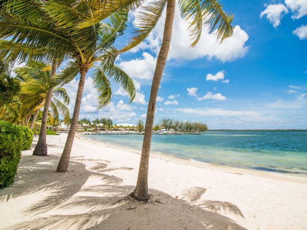 Cayman Islands Condo 966256