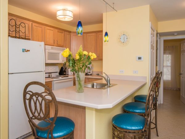 Cayman Islands Condo 966256