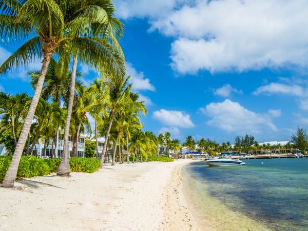 Cayman Islands Condo 966258