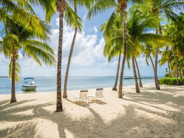 Cayman Islands Condo 966258