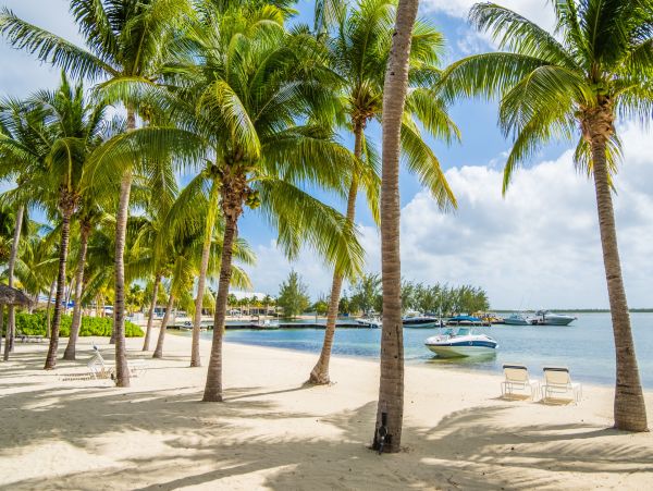 Cayman Islands Condo 966258