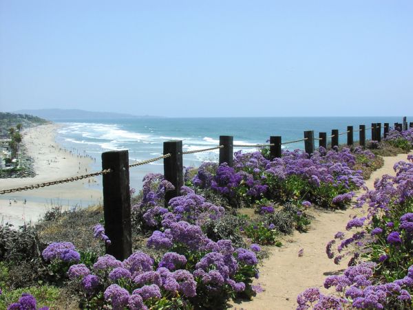 One Bedroom Walk to Beach Rental in Del Mar