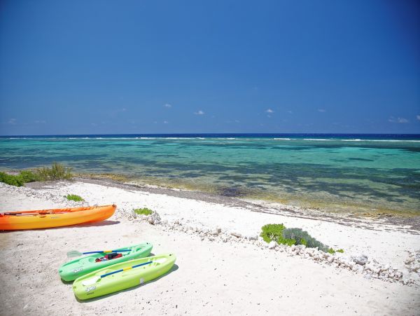 Luxurious 3-Bedroom Beachfront Villa in North Side, Grand Cayman