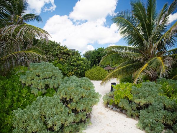 Cayman Islands Home 966268