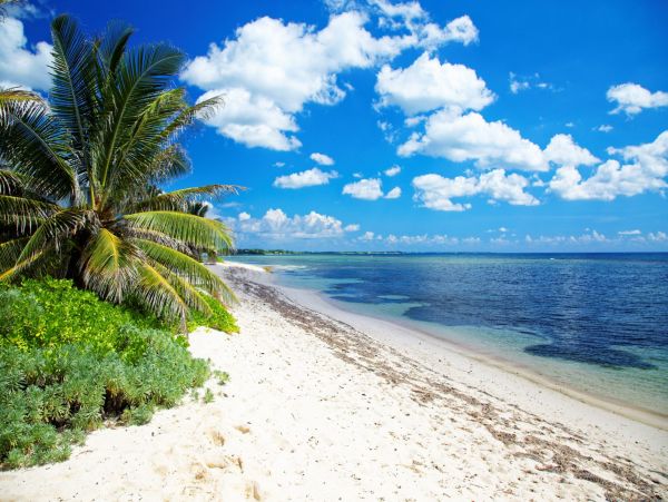 Cayman Islands Home 966268