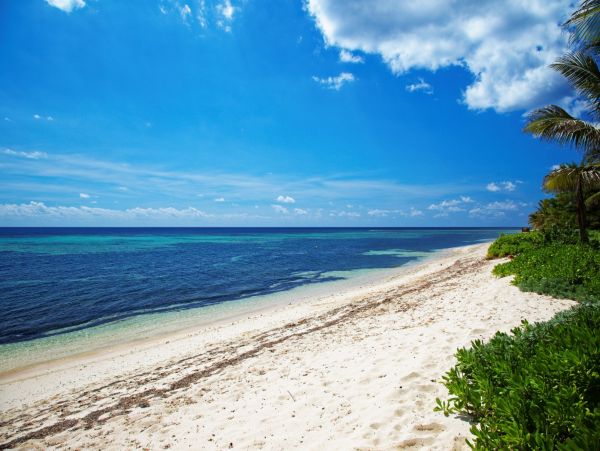Cayman Islands Home 966268