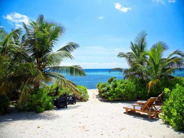 Cayman Islands Home 966268