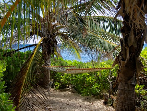 Cayman Islands Home 966268