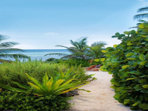 Cayman Islands Home 966268