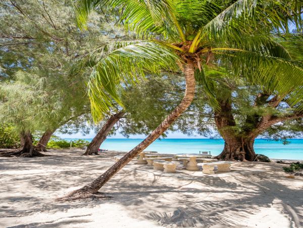 Cayman Islands Condo 966270