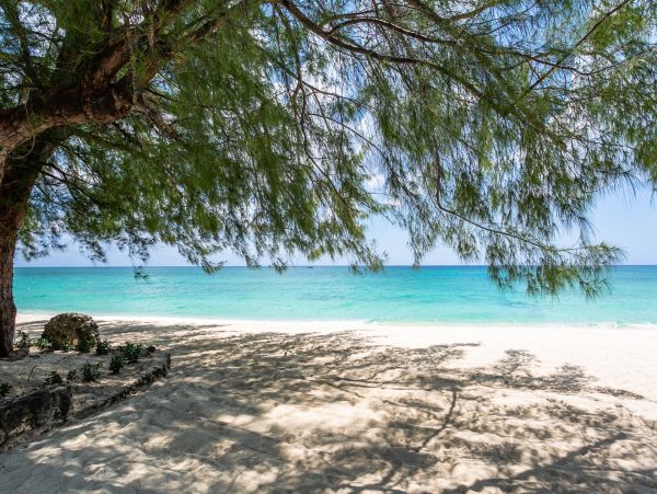 Cayman Islands Condo 966270