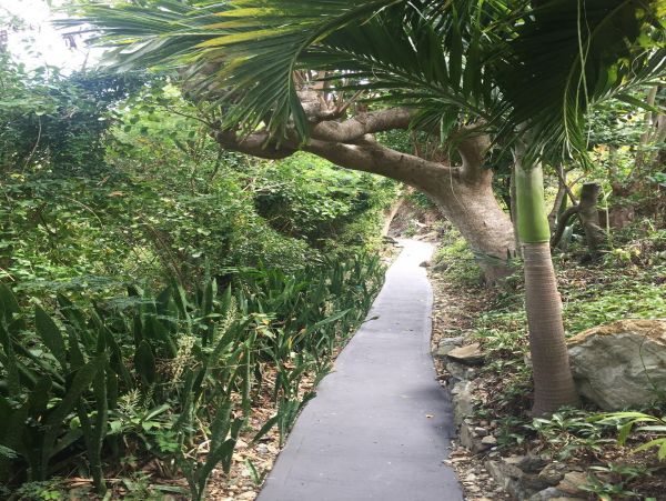 St. Thomas Condo 966286