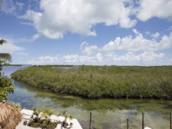 ISLAMORADA 3 BEDROOM HOME
