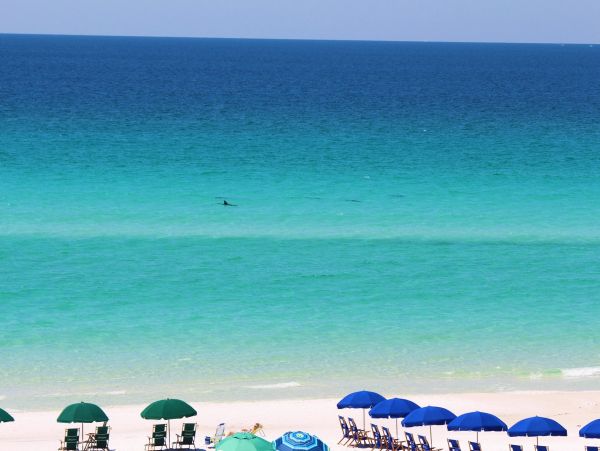 Beaches Of South Walton Condo 966363