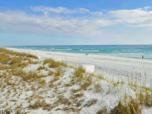 Beautiful Beachfront Condo Stroll To Sand Great Location