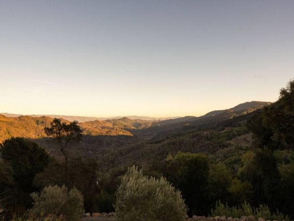 Napa Three Bedroom Mountain View Pool Home