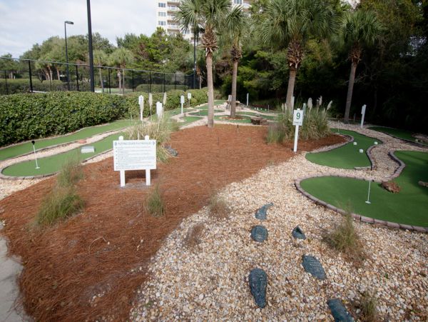 Beaches Of South Walton Condo 966464