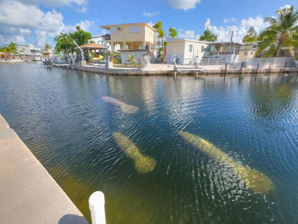 The Florida Keys Home 966475