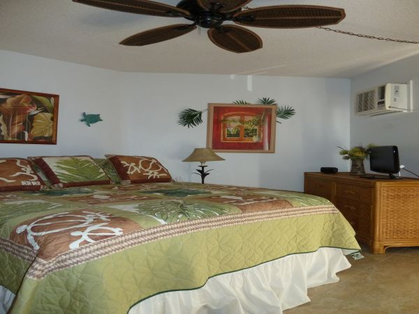 Kihei Condo 966480