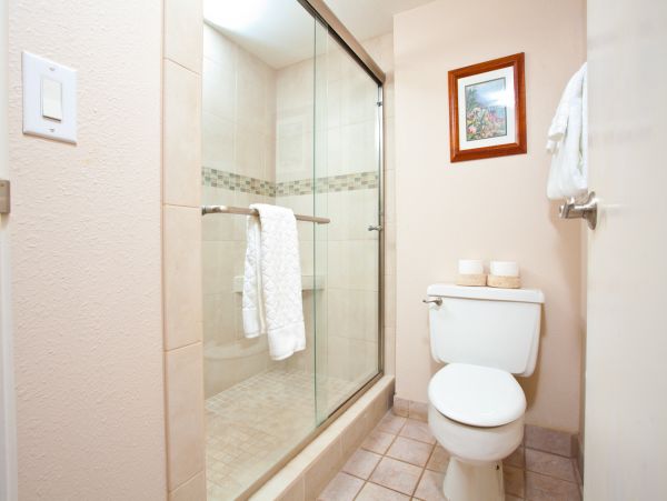 Kaanapali Condo 966481