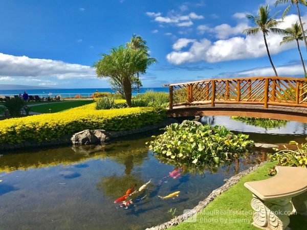 Kaanapali Condo 966484