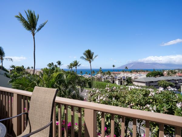 Wailea Condo 966485