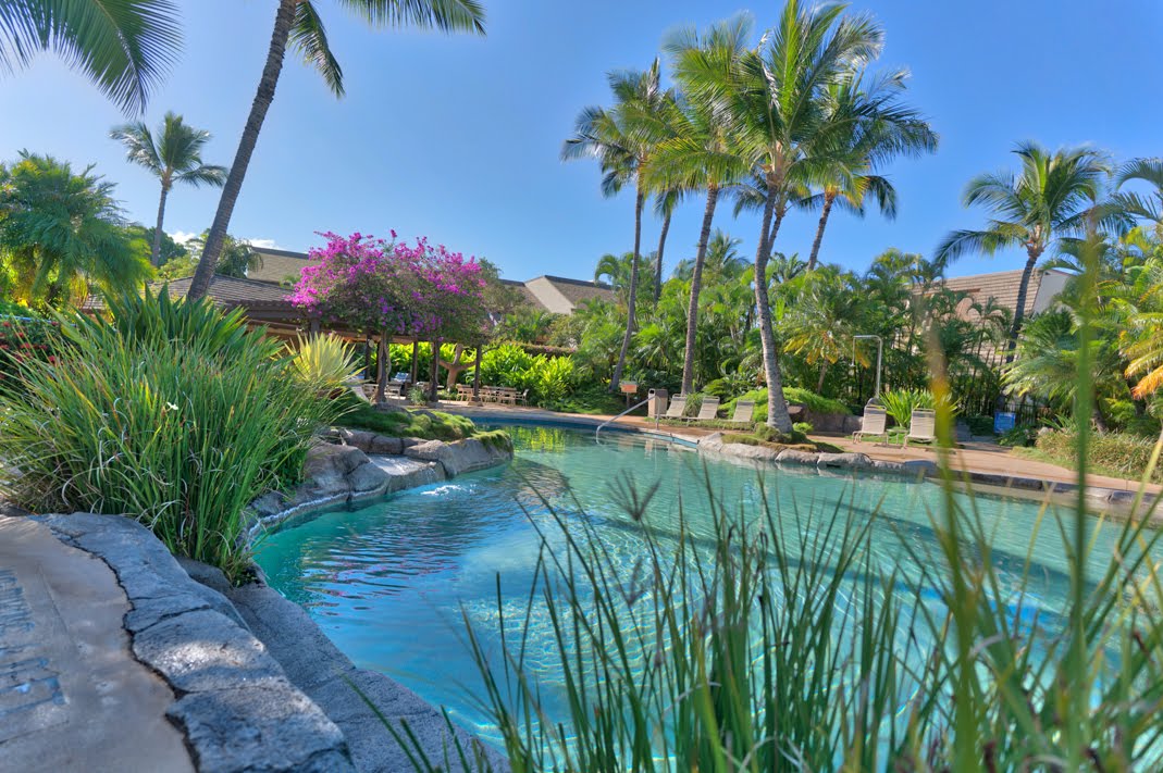 Wailea Condo 966485