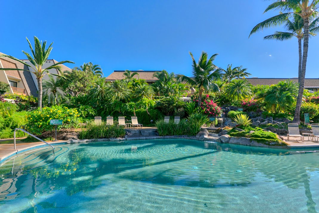 Wailea Condo 966485