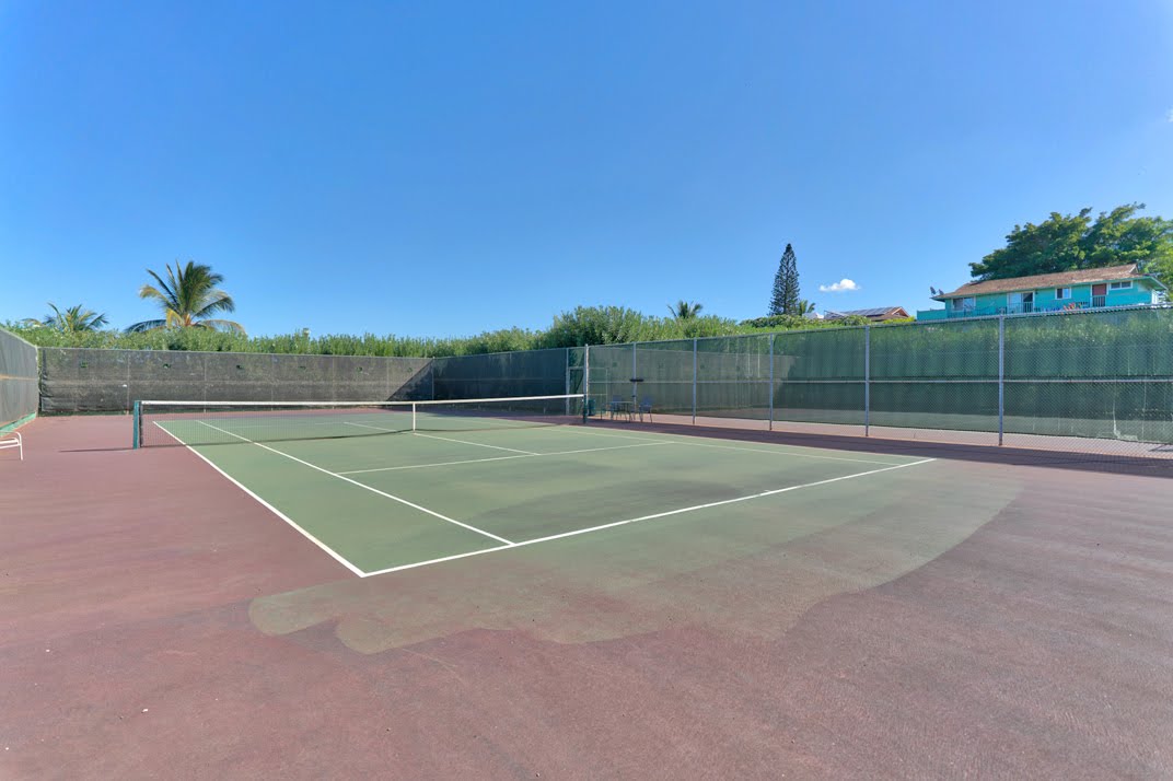 Wailea Condo 966485