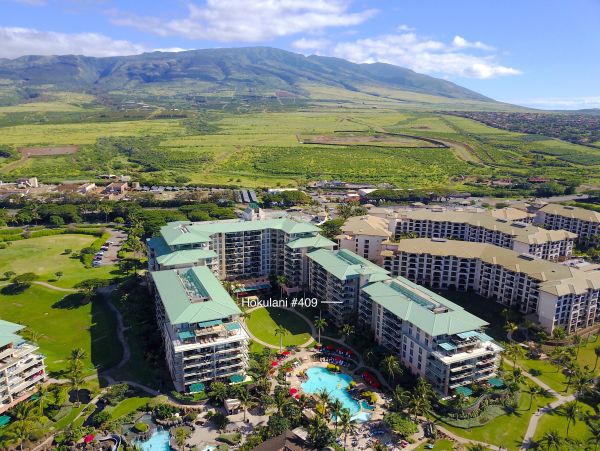 Kaanapali Condo 966489