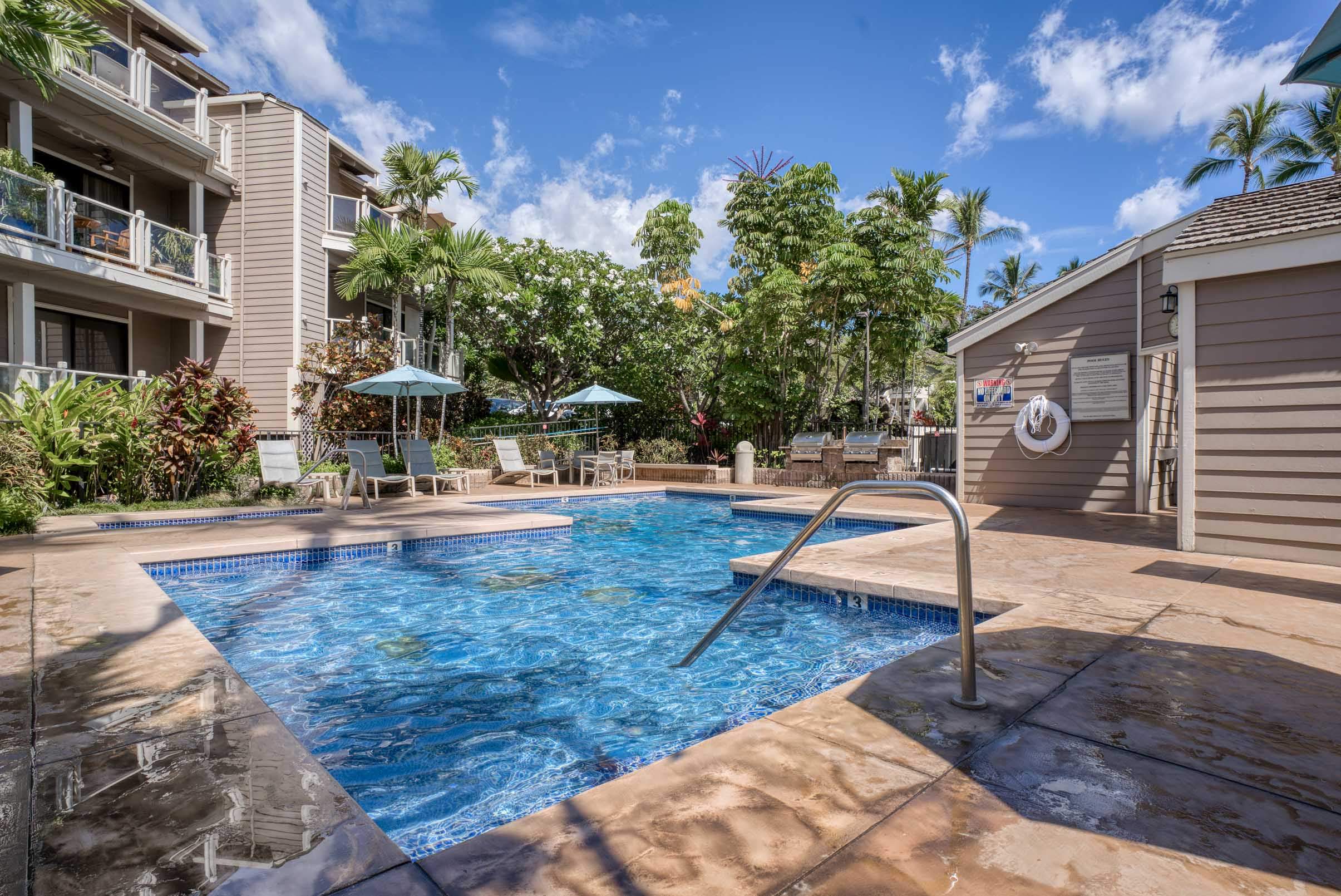 Wailea Condo 966492