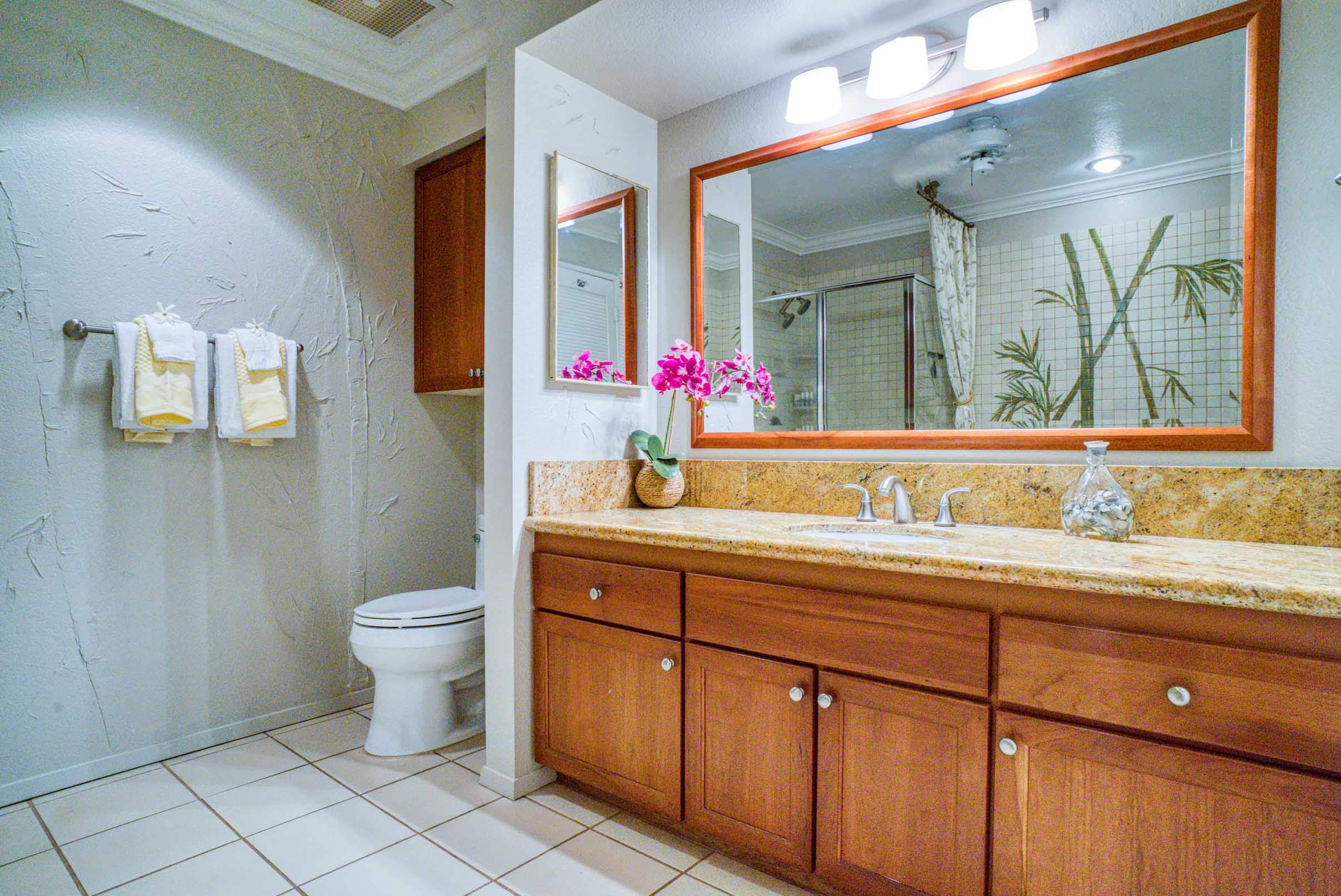 Wailea Condo 966492