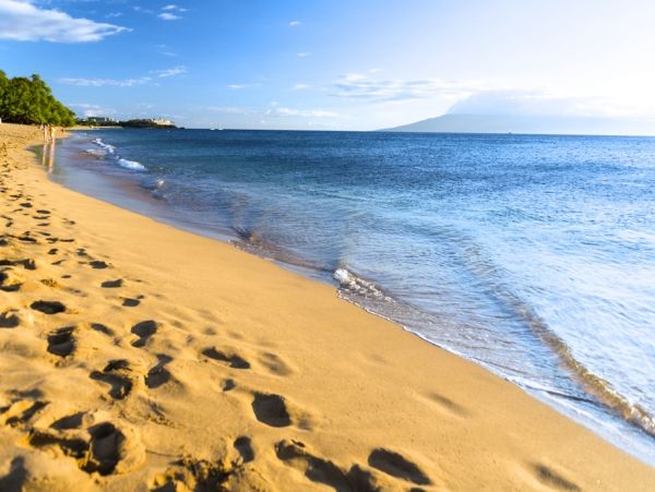 Kaanapali Condo 966493