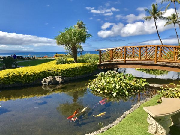 Beachfront Two Bedroom Kaanapali Vacation Rental Condo