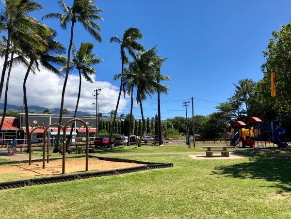 Kahana Condo 966495