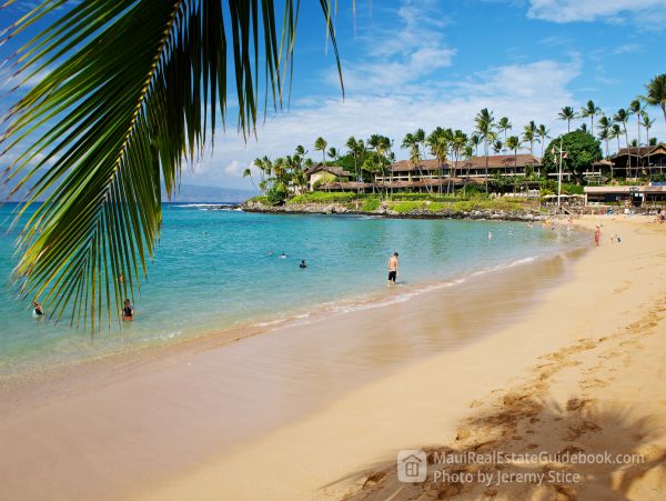 Wailea Condo 966496
