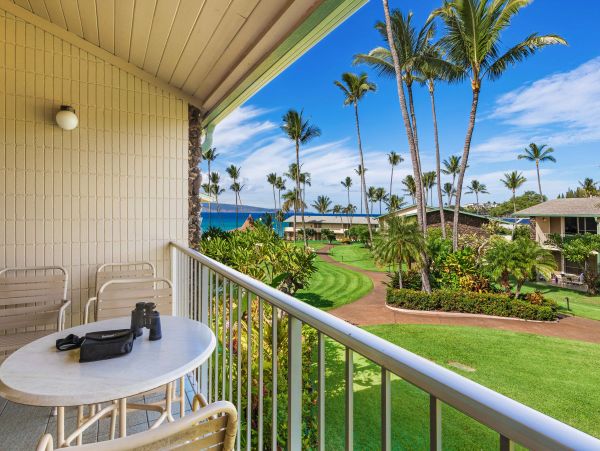 Wailea Condo 966496