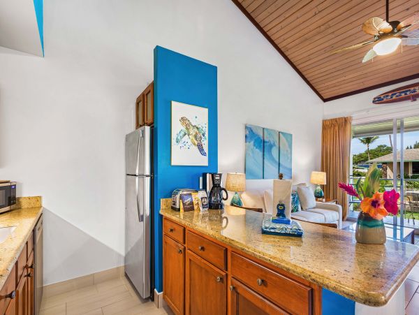 Wailea Condo 966496