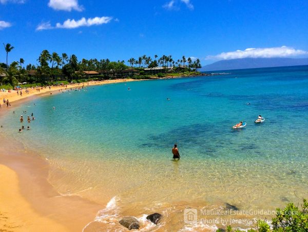 Wailea Condo 966496