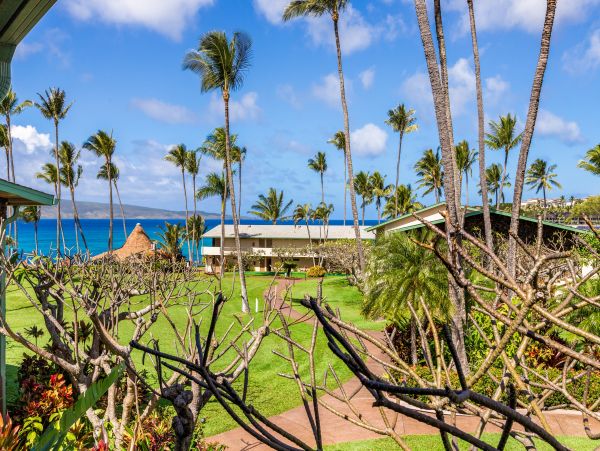 Wailea Condo 966496