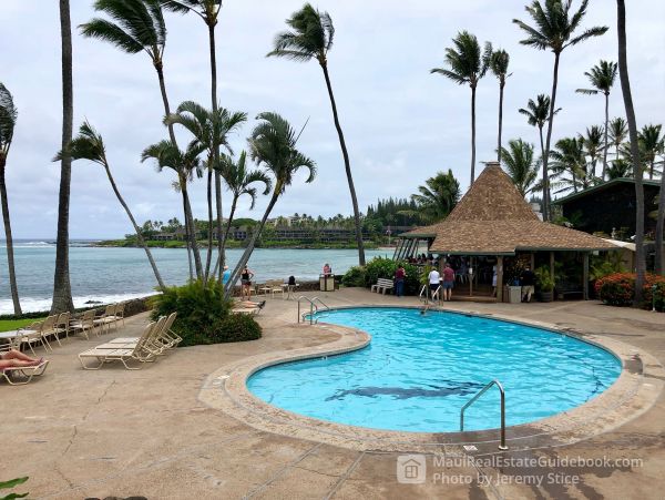 Wailea Condo 966496