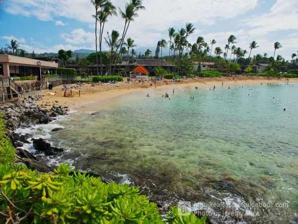 Wailea Condo 966496