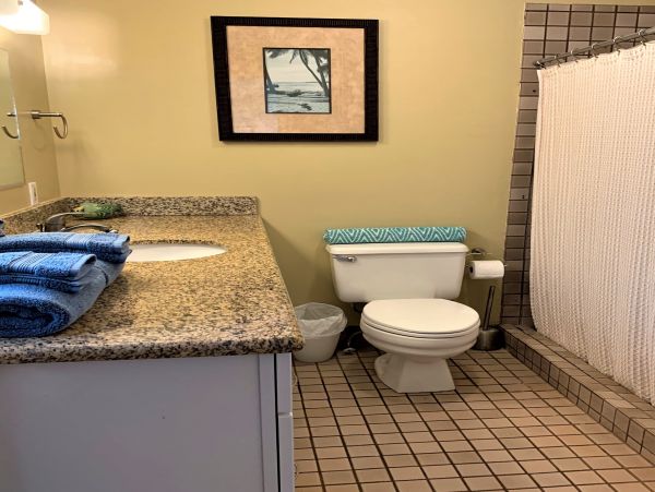 Kaanapali Home 966497