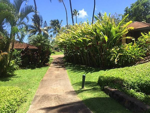 Kaanapali Home 966497
