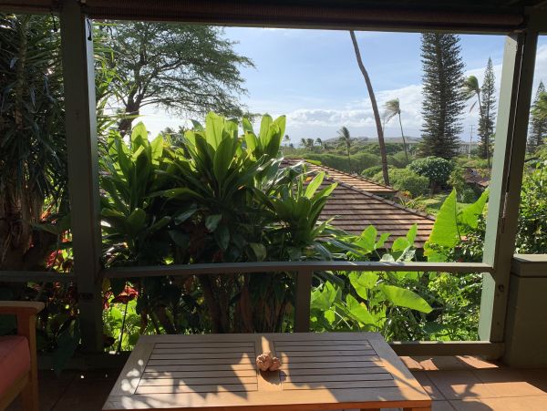 Kaanapali Home 966497