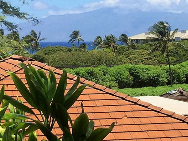 Kaanapali Home 966497
