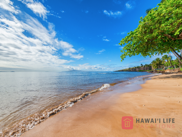 Kihei Condo 966498