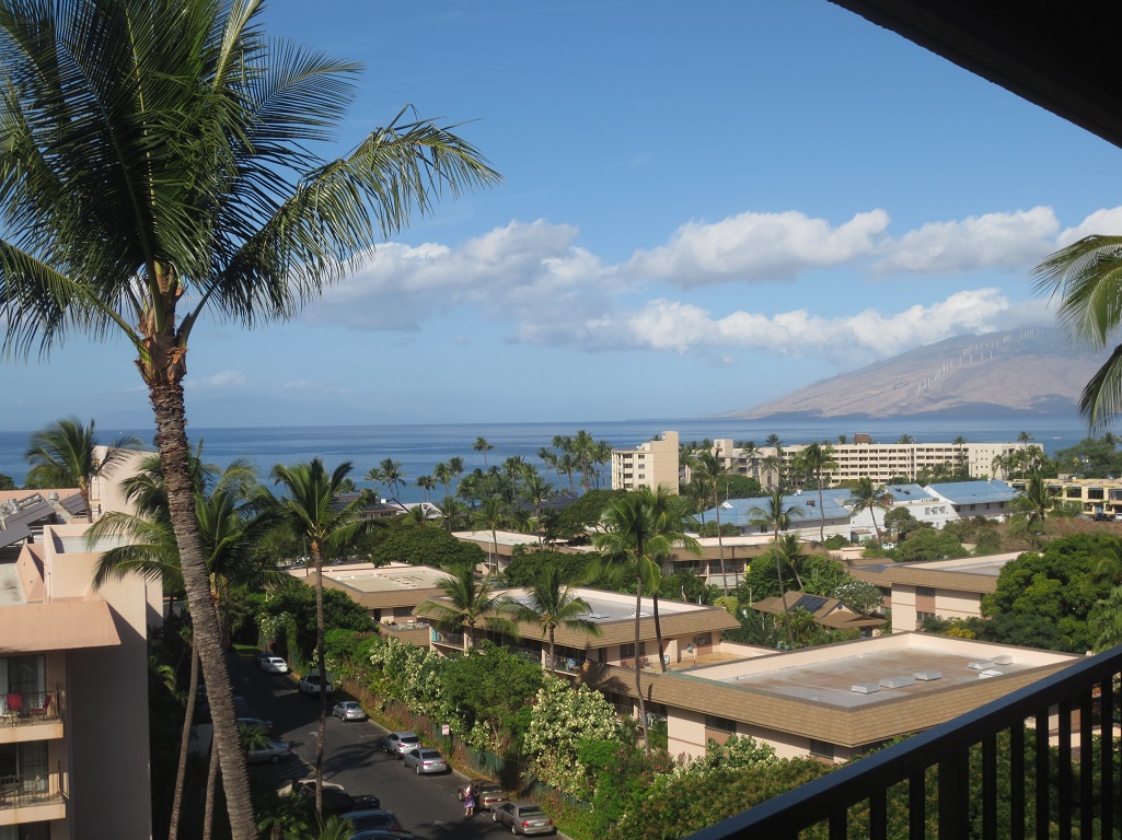 Wailea Condo 966500