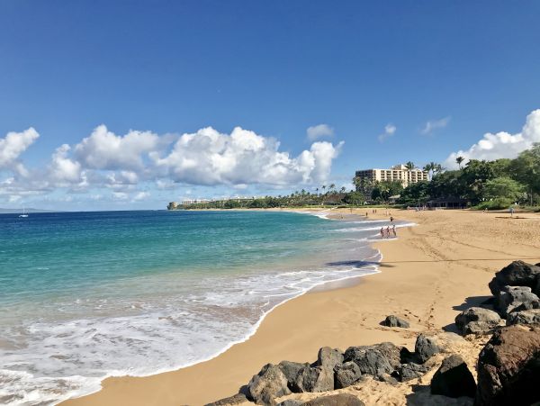 Lahaina Condo 966503