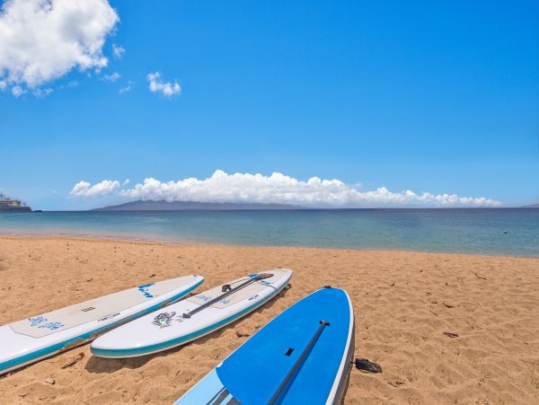 Lahaina Condo 966503